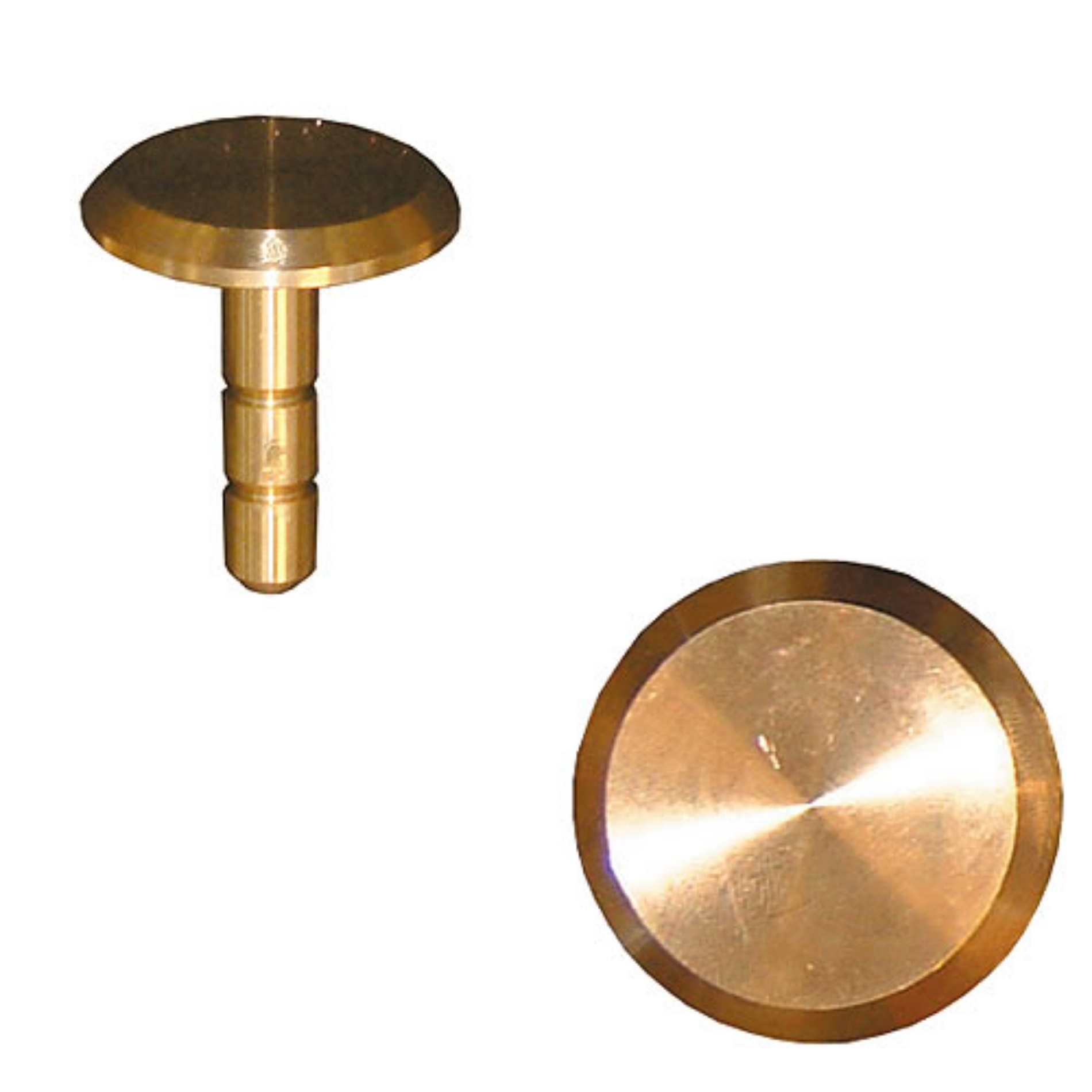 Picture of Brass Survey Marker - Flat