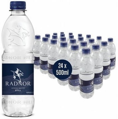 Picture of Radnor Hills Spring Water - Still (24 Bottles x 500ml)